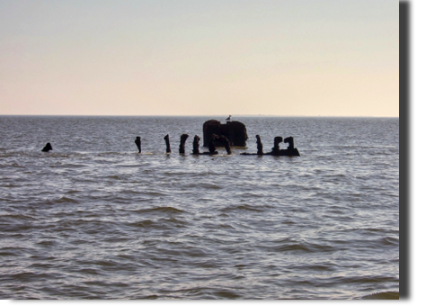 Unterer Teil Mast, Spanten Unterer Teil Mast, Spanten